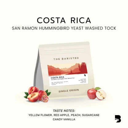 The baristro costa rica san ramon hummingbird light roasted single origin coffee