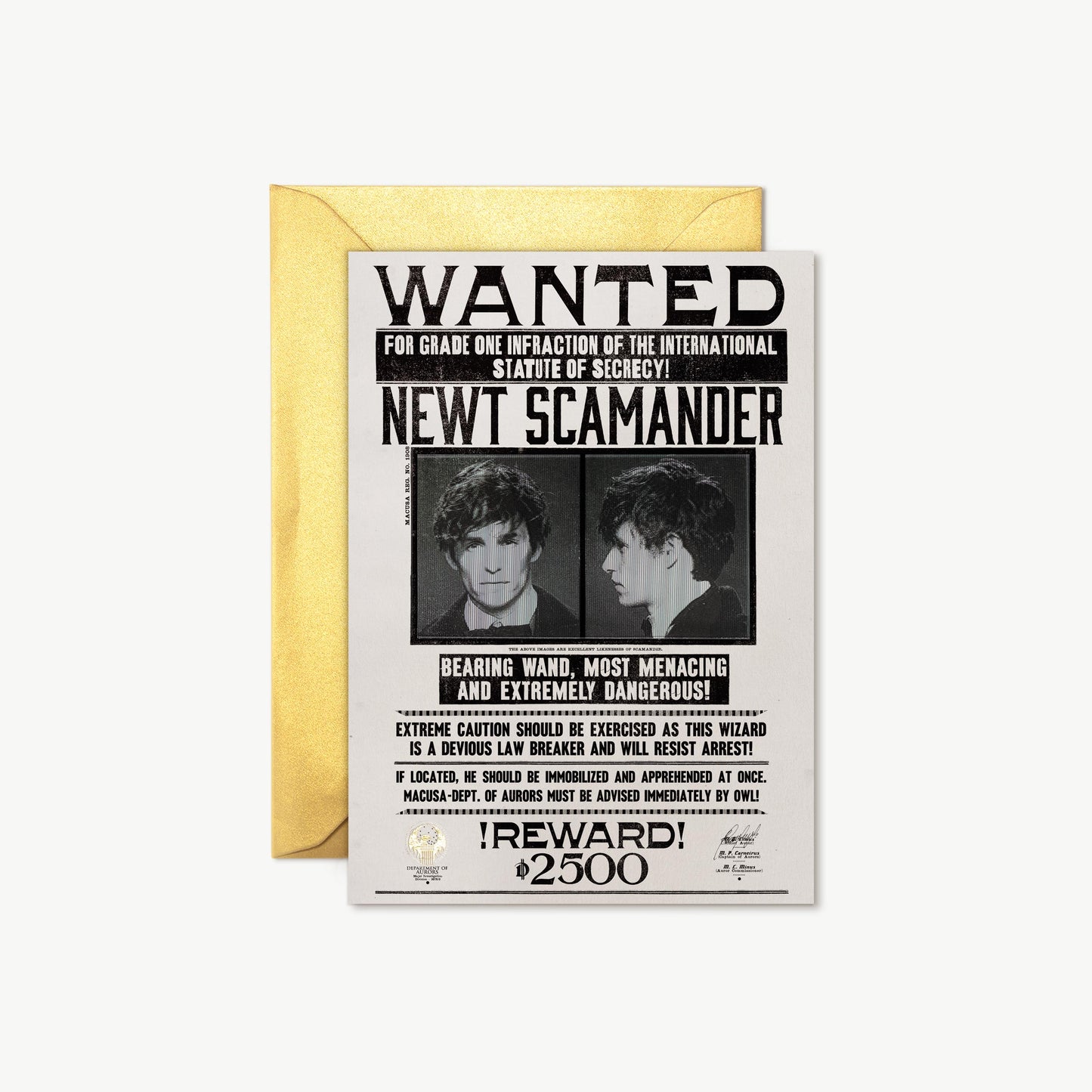 Harry potter note card newt scamander