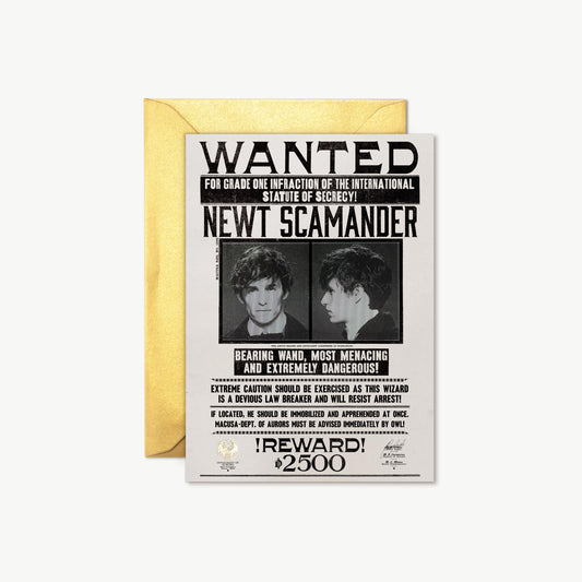Harry potter note card newt scamander